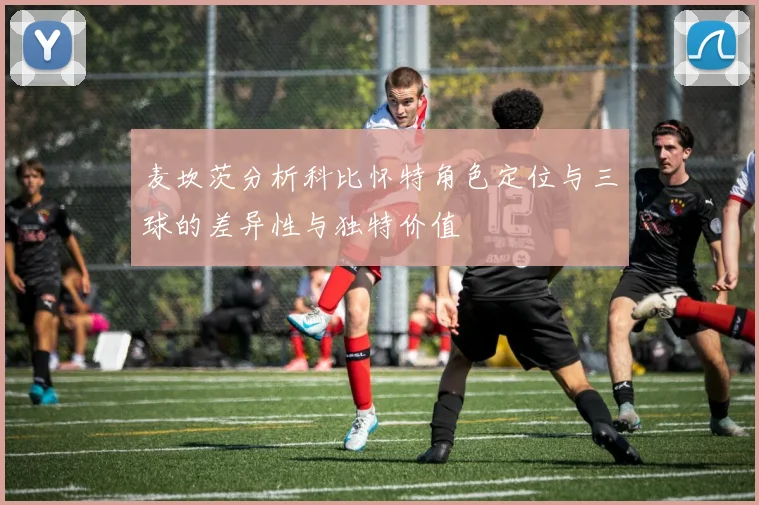 麦坎茨分析科比怀特角色定位与三球的差异性与独特价值